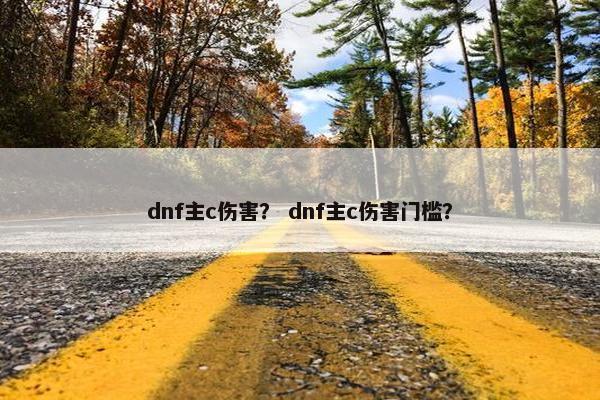 dnf主c伤害？ dnf主c伤害门槛？