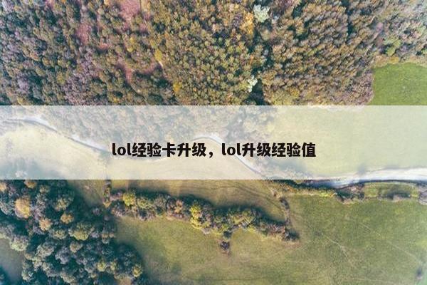 lol经验卡升级，lol升级经验值