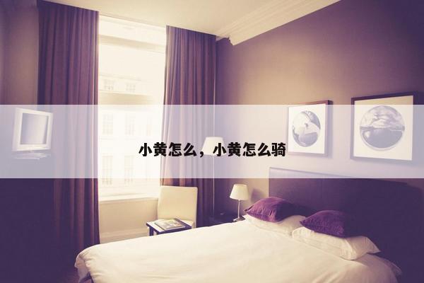 小黄怎么，小黄怎么骑
