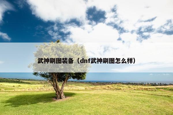 武神刷图装备（dnf武神刷图怎么样）