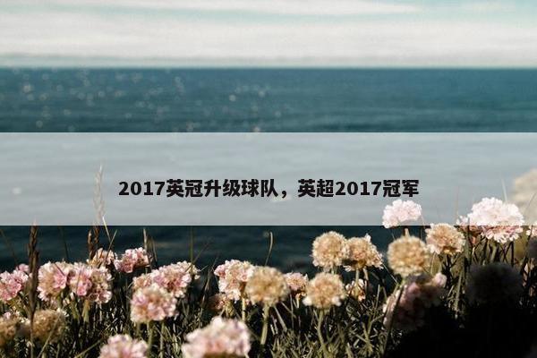 2017英冠升级球队，英超2017冠军