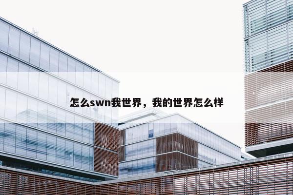 怎么swn我世界，我的世界怎么样