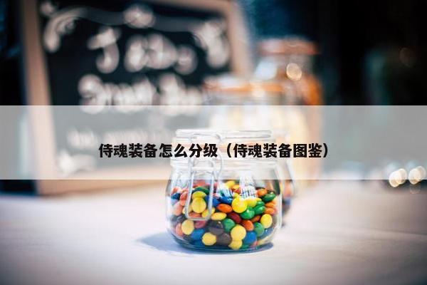 侍魂装备怎么分级（侍魂装备图鉴）