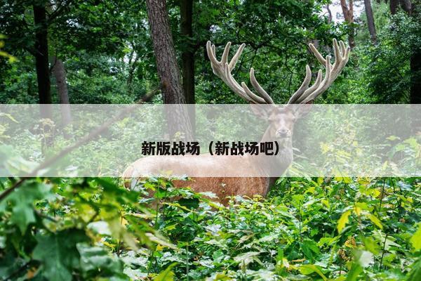 新版战场（新战场吧）