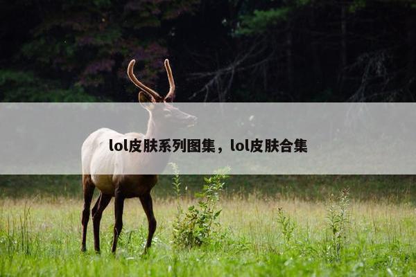 lol皮肤系列图集，lol皮肤合集