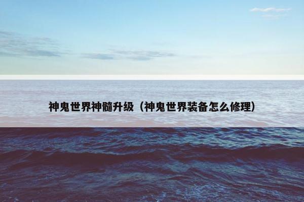 神鬼世界神髓升级（神鬼世界装备怎么修理）