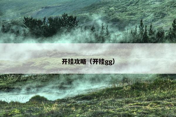 开挂攻略（开挂gg）