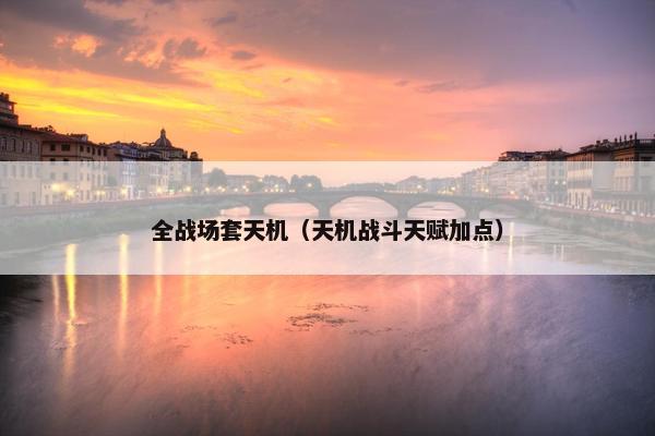 全战场套天机（天机战斗天赋加点）