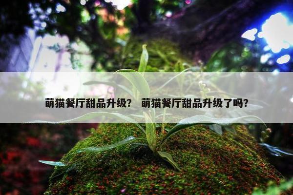萌猫餐厅甜品升级？ 萌猫餐厅甜品升级了吗？