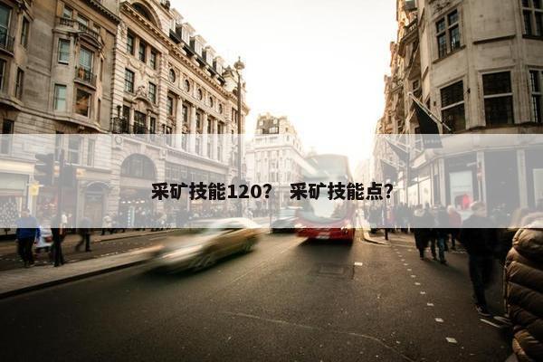 采矿技能120？ 采矿技能点？