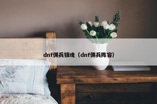 dnf佣兵镇魂（dnf佣兵阵容）