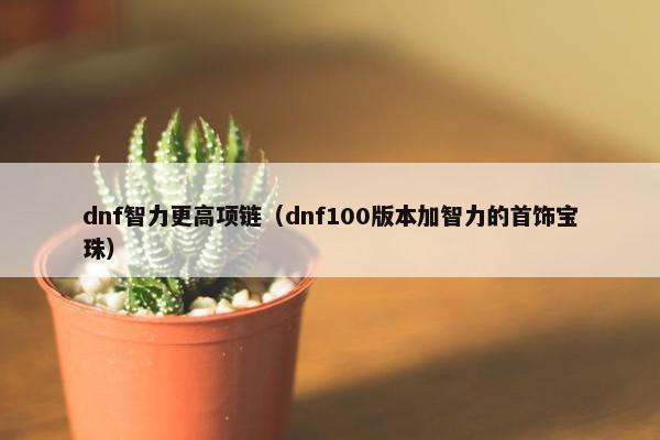dnf智力更高项链（dnf100版本加智力的首饰宝珠）