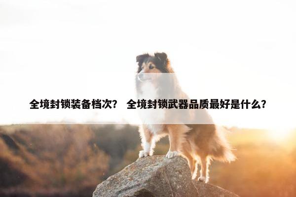 全境封锁装备档次？ 全境封锁武器品质最好是什么？