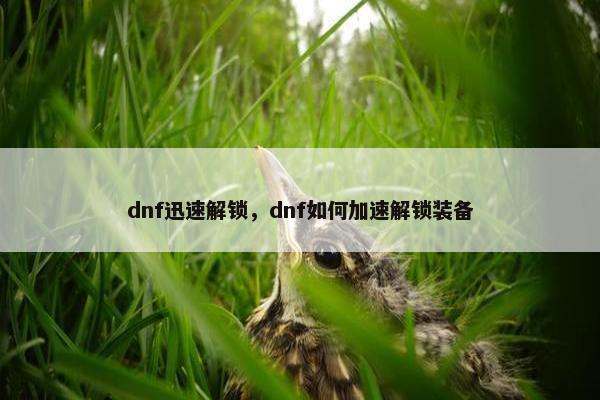 dnf迅速解锁，dnf如何加速解锁装备