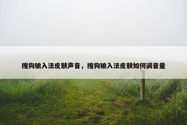 搜狗输入法皮肤声音，搜狗输入法皮肤如何调音量