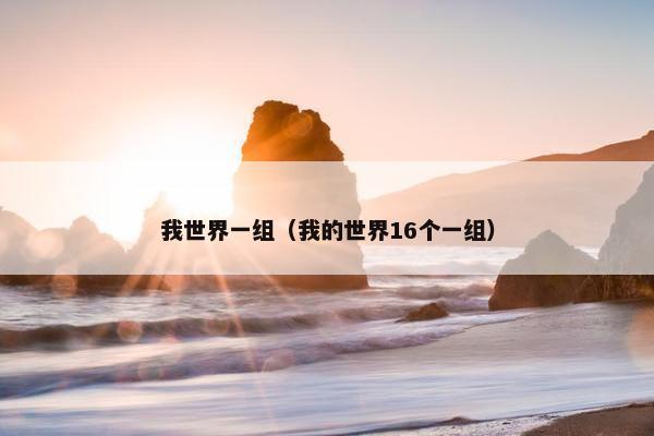 我世界一组（我的世界16个一组）