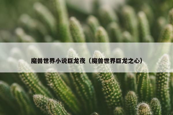 魔兽世界小说巨龙夜（魔兽世界巨龙之心）