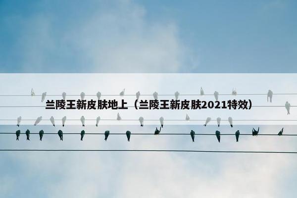 兰陵王新皮肤地上（兰陵王新皮肤2021特效）