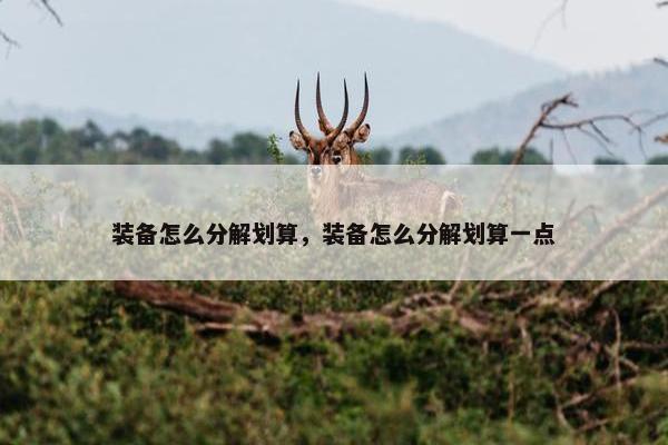 装备怎么分解划算，装备怎么分解划算一点