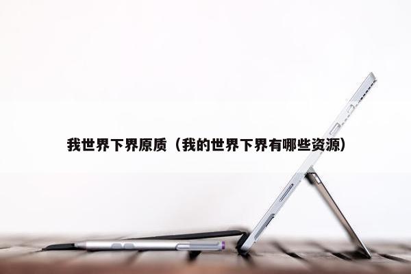 我世界下界原质（我的世界下界有哪些资源）