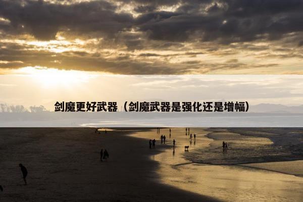 剑魔更好武器（剑魔武器是强化还是增幅）