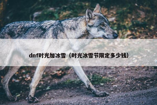 dnf时光加冰雪（时光冰雪节限定多少钱）