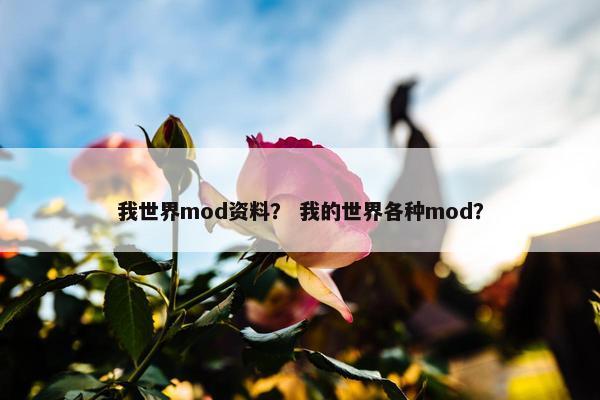 我世界mod资料？ 我的世界各种mod？