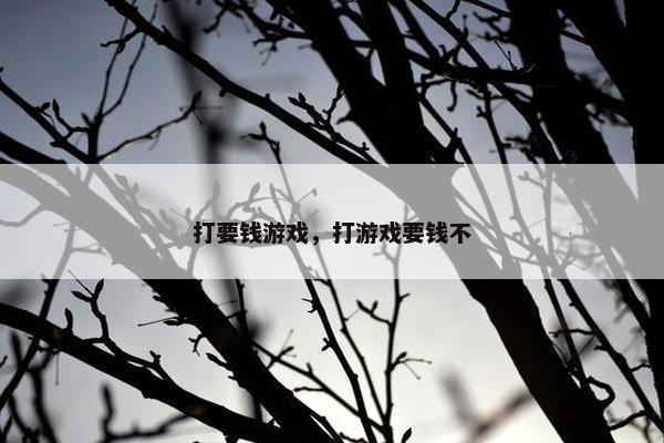 打要钱游戏，打游戏要钱不