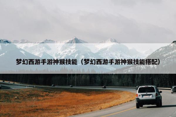 梦幻西游手游神猴技能（梦幻西游手游神猴技能搭配）