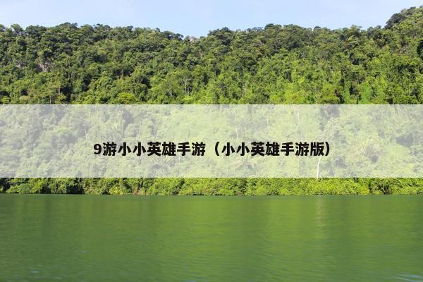 9游小小英雄手游（小小英雄手游版）