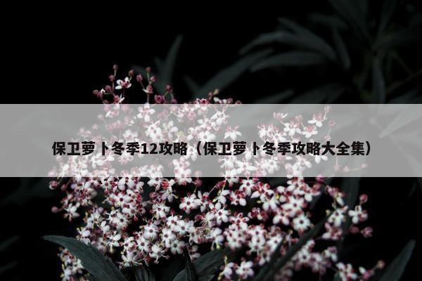 保卫萝卜冬季12攻略（保卫萝卜冬季攻略大全集）