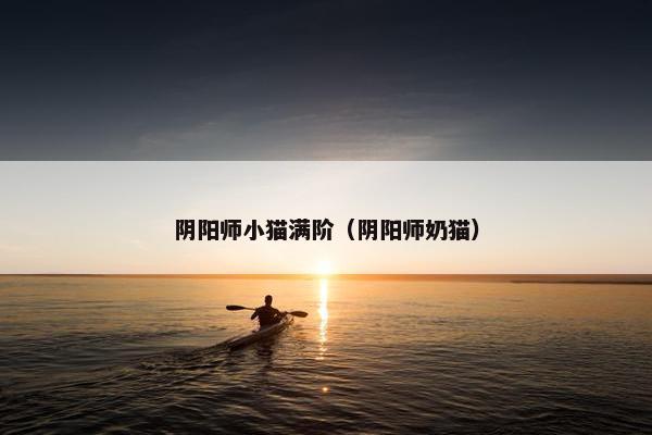 阴阳师小猫满阶（阴阳师奶猫）