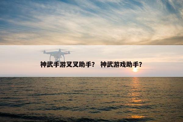神武手游叉叉助手？ 神武游戏助手？