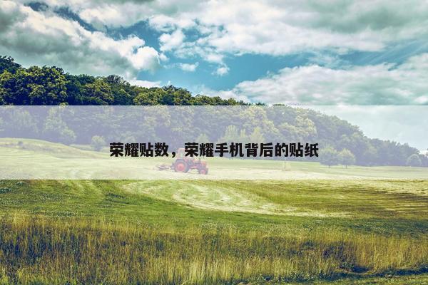 荣耀贴数，荣耀手机背后的贴纸