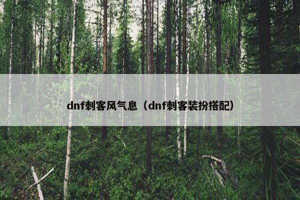 dnf刺客风气息（dnf刺客装扮搭配）
