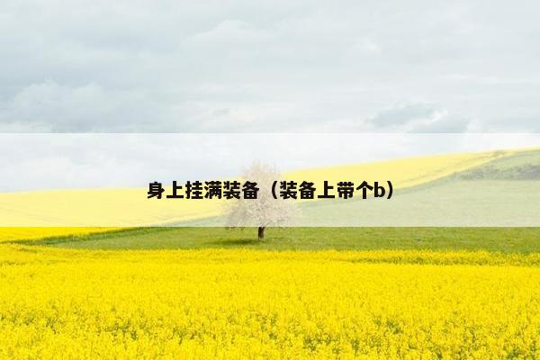 身上挂满装备（装备上带个b）