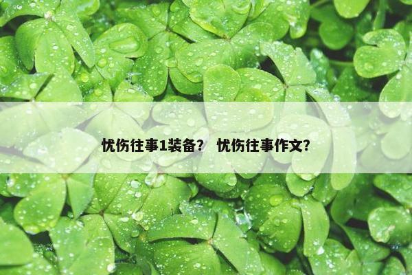 忧伤往事1装备？ 忧伤往事作文？