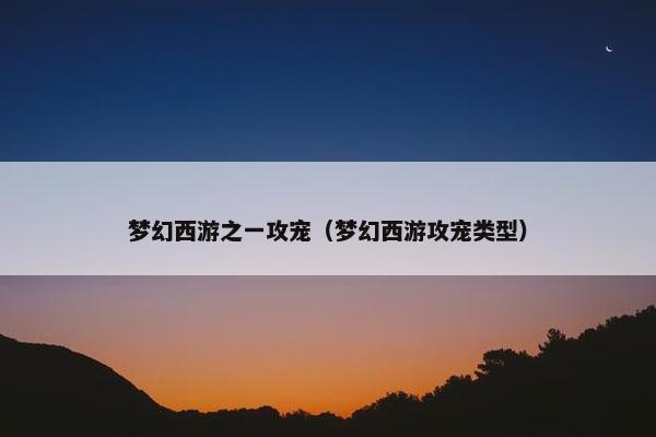 梦幻西游之一攻宠（梦幻西游攻宠类型）