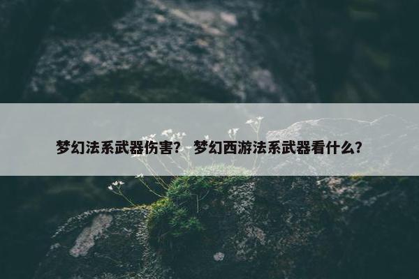 梦幻法系武器伤害？ 梦幻西游法系武器看什么？