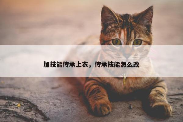 加技能传承上衣，传承技能怎么改