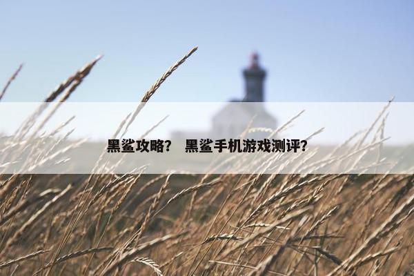 黑鲨攻略？ 黑鲨手机游戏测评？