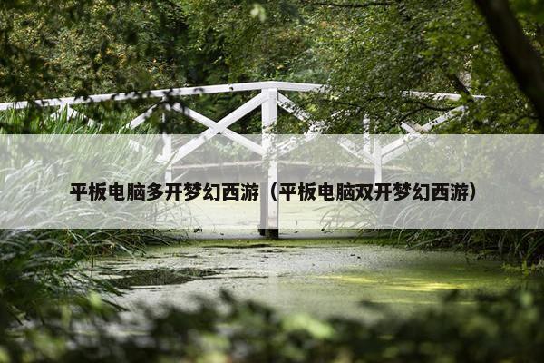 平板电脑多开梦幻西游（平板电脑双开梦幻西游）