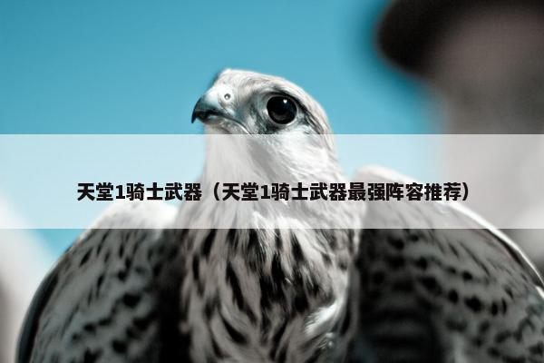 天堂1骑士武器（天堂1骑士武器最强阵容推荐）