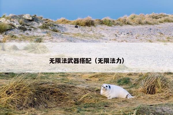无限法武器搭配（无限法力）