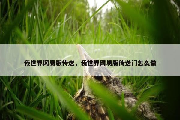我世界网易版传送，我世界网易版传送门怎么做