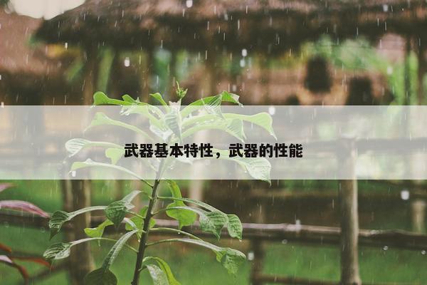 武器基本特性，武器的性能