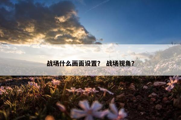 战场什么画面设置？ 战场视角？