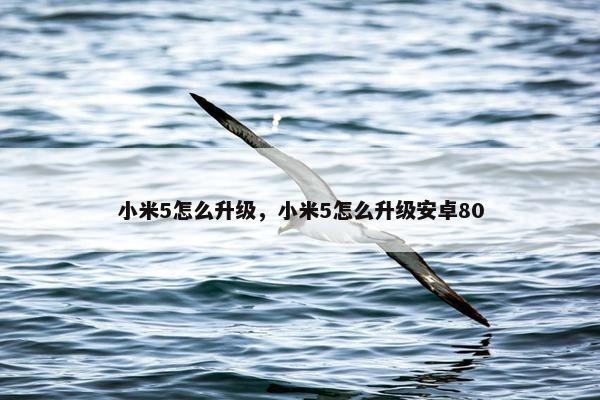 小米5怎么升级，小米5怎么升级安卓80