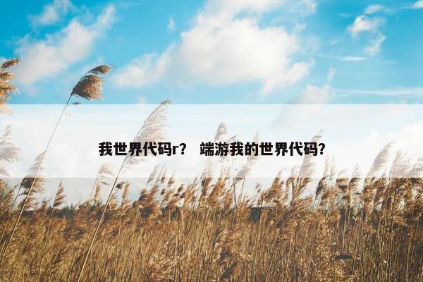 我世界代码r？ 端游我的世界代码？