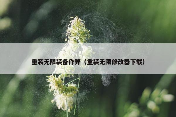 重装无限装备作弊（重装无限修改器下载）